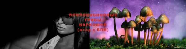 марки lsd Алексеевка