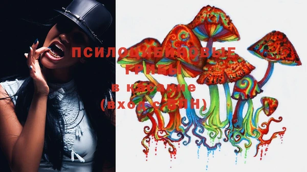 шишки Алексин